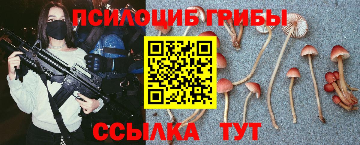 Зеленогорск  Галлюциногенные грибы Psilocybe  Вход с VPN 