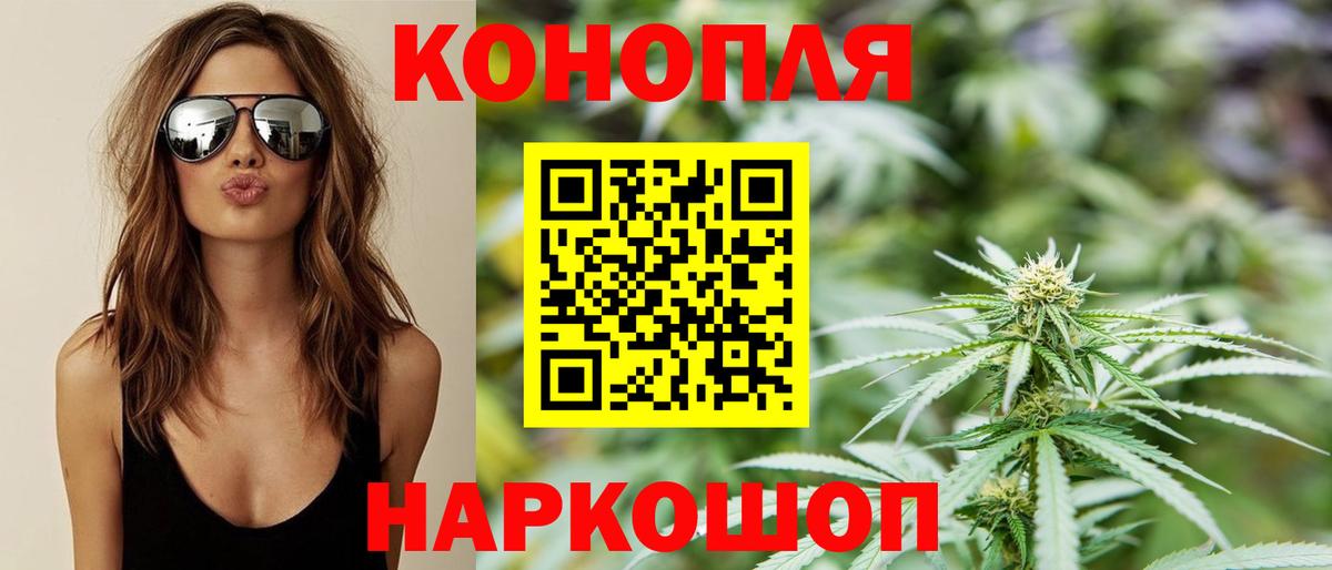 МАРИХУАНА план  Конопля конопля  Зеленогорск  Вход с VPN  Канабис конопля 